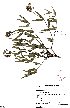  ( - SPB11339)  @11 [ ] No Rights Reserved  Unspecified Unspecified