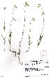  ( - SPB11715)  @11 [ ] No Rights Reserved  Unspecified Unspecified