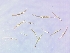  ( - PHP19_0018)  @11 [ ] Copyright (2020) Unspecified Swiss Federal Research Institute WSL