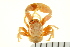  ( - AINV-037)  @14 [ ] CreativeCommons - Attribution (2012) CBG Photography Group Centre for Biodiversity Genomics