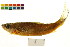  ( - BOX-3188 E05)  @13 [ ] CreativeCommons - Attribution (2011) CBG Photography Group Centre for Biodiversity Genomics