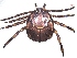  ( - 19633-AgemA04)  @11 [ ] Copyright (2013) Edward K Kariuki Unspecified