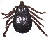  ( - 19633-RpraetA05)  @11 [ ] Copyright (2013) Edward K Kariuki Unspecified