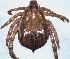  ( - 19633-RdecA08)  @11 [ ] Copyright (2013) Edward K Kariuki Unspecified