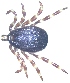  ( - 19633-HrufA09)  @11 [ ] Copyright (2013) Edward K Kariuki Unspecified