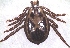  ( - 19633-RpulC01)  @11 [ ] Copyright (2013) Edward K Kariuki Unspecified
