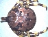  ( - 19633-AperC05)  @11 [ ] Copyright (2013) Edward K Kariuki Unspecified