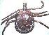  ( - 19633-AsparC07)  @11 [ ] Copyright (2013) Edward K Kariuki Unspecified