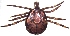  ( - 19633-AgemC11)  @11 [ ] Copyright (2013) Edward K Kariuki Unspecified