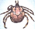  ( - 19633-AgemD03)  @11 [ ] Copyright (2013) Edward K Kariuki Unspecified