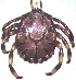  ( - 19633-AgemD04)  @11 [ ] Copyright (2013) Edward K Kariuki Unspecified
