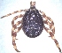  ( - 19633-HrufD05)  @11 [ ] Copyright (2013) Edward K Kariuki Unspecified