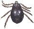  ( - 19633-RpraeE01)  @11 [ ] Copyright (2013) Edward K Kariuki Unspecified