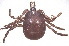  ( - 19633-AthoF04)  @11 [ ] Copyright (2013) Edward K Kariuki Unspecified