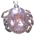  ( - 19633-AthoF06)  @11 [ ] Copyright (2013) Edward K Kariuki Unspecified