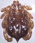  ( - 19633-RdecF09)  @11 [ ] Copyright (2013) Edward K Kariuki Unspecified