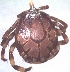  ( - 19633-AgemF10)  @11 [ ] Copyright (2013) Edward K Kariuki Unspecified
