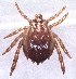  ( - 19633-RdecF11)  @11 [ ] Copyright (2013) Edward K Kariuki Unspecified