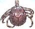  ( - 19633-AgemF12)  @11 [ ] Copyright (2013) Edward K Kariuki Unspecified