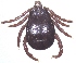  ( - 19633-RpraeH01)  @11 [ ] Copyright (2013) Edward K Kariuki Unspecified