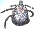 ( - 19634-AnutB03)  @11 [ ] Copyright (2013) Edward K Kariuki Unspecified