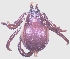  ( - 19634-RpravD07)  @12 [ ] Copyright (2013) Edward K Kariuki Unspecified
