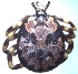  ( - 19634-AperD09)  @13 [ ] Copyright (2013) Edward K Kariuki Unspecified
