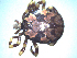  ( - 19634-AperD10)  @13 [ ] Copyright (2013) Edward K Kariuki Unspecified