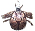  ( - 19634-AebuE04)  @13 [ ] Copyright (2013) Edward K Kariuki Unspecified