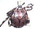  ( - 19634-AgemE05)  @12 [ ] Copyright (2013) Edward K Kariuki Unspecified