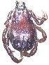  ( - 19634-RpravH03)  @12 [ ] Copyright (2013) Edward K Kariuki Unspecified