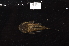  ( - ARAZ081)  @11 [ ] by-nc-sa (2022) Nicolas Hubert IRD