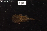  ( - ARAZ082)  @11 [ ] by-nc-sa (2022) Nicolas Hubert IRD