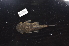  ( - ARAZ126)  @11 [ ] by-nc-sa (2022) Nicolas Hubert IRD