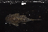  ( - ARAZ227)  @11 [ ] by-nc-sa (2022) Nicolas Hubert IRD