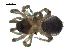 ( - BIOUG07162-D10)  @12 [ ] CreativeCommons - Attribution (2013) G. Blagoev Centre for Biodiversity Genomics