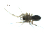  ( - BIOUG07166-D10)  @13 [ ] CreativeCommons - Attribution (2013) G. Blagoev Centre for Biodiversity Genomics