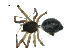  ( - BIOUG07168-A09)  @11 [ ] CreativeCommons - Attribution (2013) G. Blagoev Centre for Biodiversity Genomics