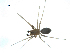  ( - BIOUG07168-C02)  @13 [ ] CreativeCommons - Attribution (2013) G. Blagoev Centre for Biodiversity Genomics