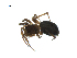  ( - BIOUG07168-G03)  @13 [ ] CreativeCommons - Attribution (2013) G. Blagoev Centre for Biodiversity Genomics