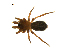  ( - BIOUG07169-H05)  @12 [ ] CreativeCommons - Attribution (2014) G. Blagoev Centre for Biodiversity Genomics