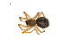  ( - BIOUG12610-C09)  @12 [ ] CreativeCommons - Attribution (2014) G. Blagoev Centre for Biodiversity Genomics