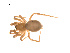  ( - BIOUG14290-C10)  @11 [ ] CreativeCommons - Attribution (2014) G. Blagoev Centre for Biodiversity Genomics