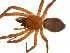 ( - BIOUG14290-C12)  @12 [ ] CreativeCommons - Attribution (2014) G. Blagoev Centre for Biodiversity Genomics