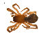 ( - BIOUG14290-D02)  @11 [ ] CreativeCommons - Attribution (2014) G. Blagoev Centre for Biodiversity Genomics