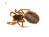  ( - BIOUG14290-D10)  @11 [ ] CreativeCommons - Attribution (2014) G. Blagoev Centre for Biodiversity Genomics
