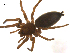  ( - BIOUG14290-F05)  @13 [ ] CreativeCommons - Attribution (2014) G. Blagoev Centre for Biodiversity Genomics