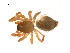  ( - BIOUG14291-D10)  @12 [ ] CreativeCommons - Attribution (2014) G. Blagoev Centre for Biodiversity Genomics