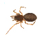  ( - BIOUG14292-A01)  @12 [ ] CreativeCommons - Attribution (2014) G. Blagoev Centre for Biodiversity Genomics