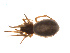  ( - BIOUG14292-A03)  @13 [ ] CreativeCommons - Attribution (2014) G. Blagoev Centre for Biodiversity Genomics